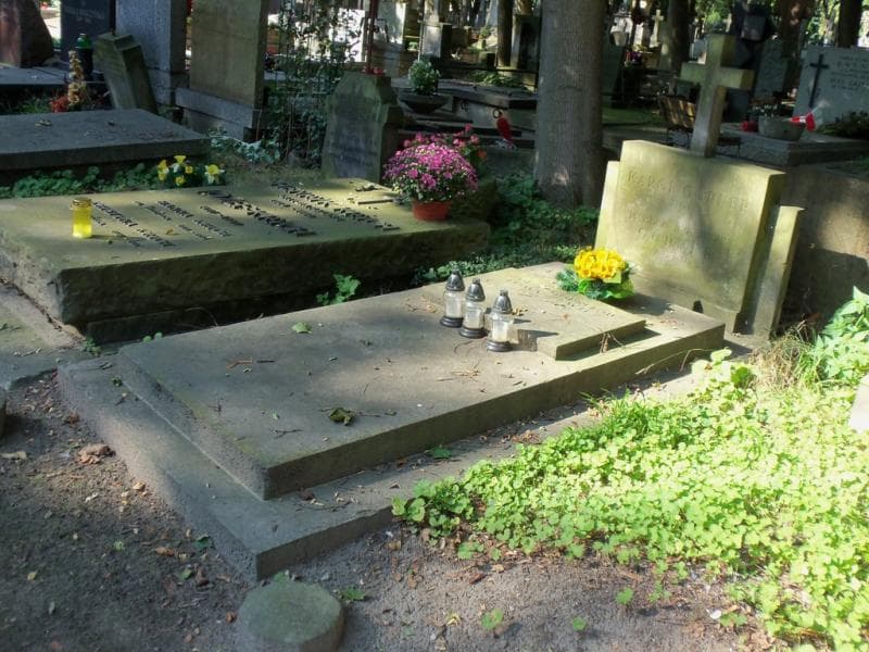 Zdjęcie grobu Karol Gorner (1)