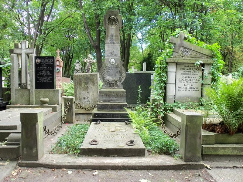 Zdjęcie grobu: Teodor Jaczewski