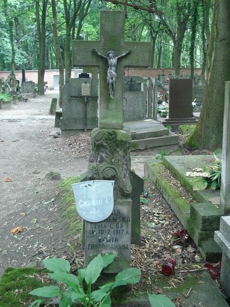 Zdjęcie grobu Zosia Choromańska (1)