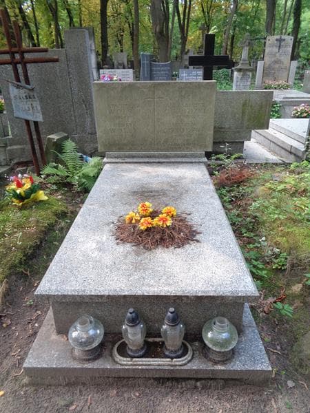 Zdjęcie grobu Aleksander Ogrodzki (1)