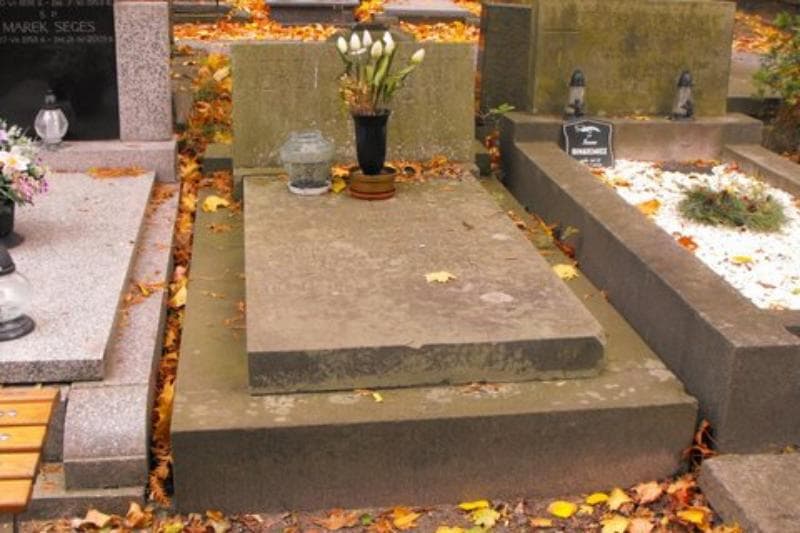 Zdjęcie grobu: Jerzy Albrecht