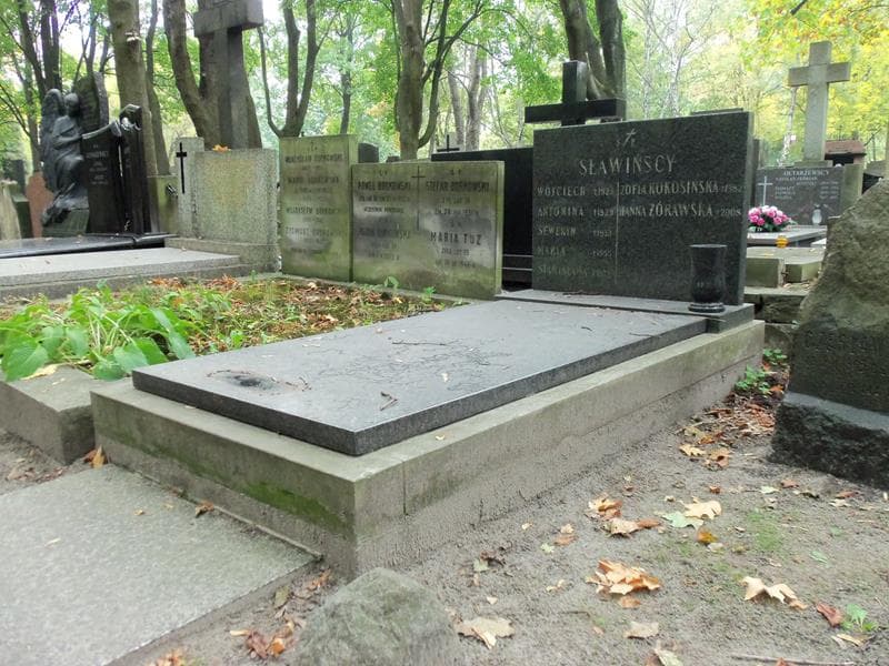 Zdjęcie grobu Stanisława Sławińska (1)