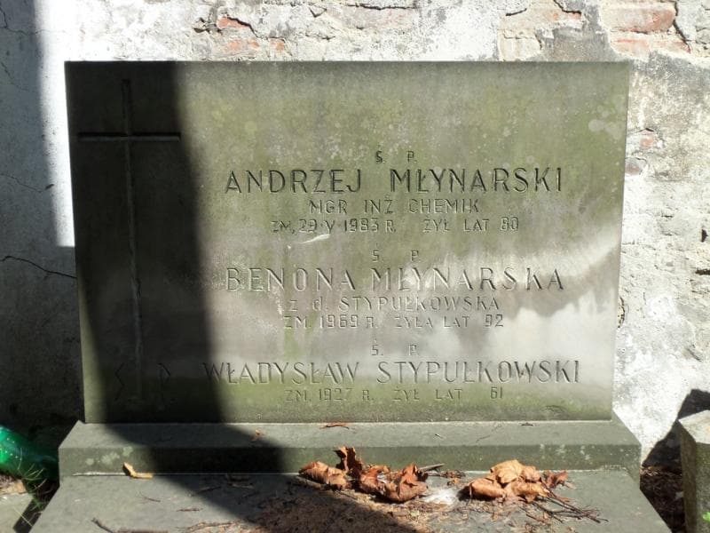 Zdjęcie grobu Władysław Stypułkowski (2)