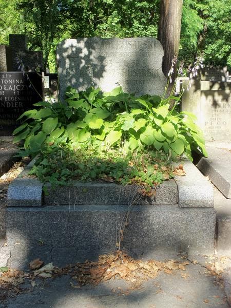 Zdjęcie grobu: Wacław Husarski
