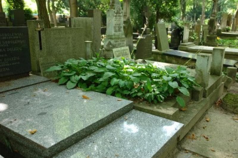 Zdjęcie grobu Michalina Białowiejska (1)