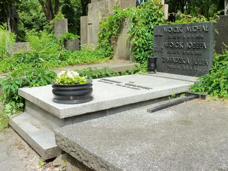 Zdjęcie grobu Henryk Czapnik (1)