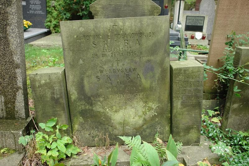 Zdjęcie grobu Krystyna Walter - Skiba (2)