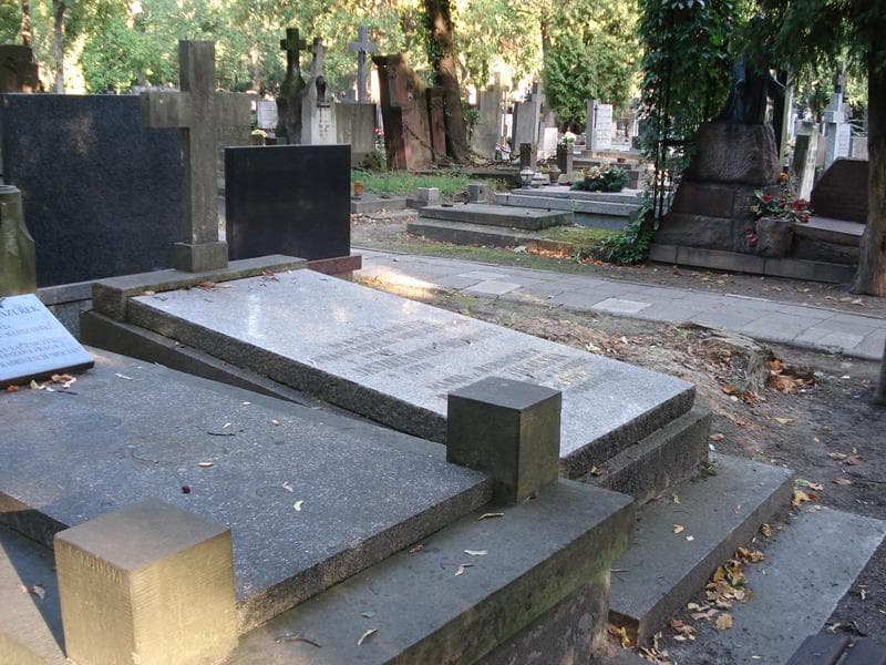 Zdjęcie grobu Franciszek Jastrzębiec-Rudnicki (2)