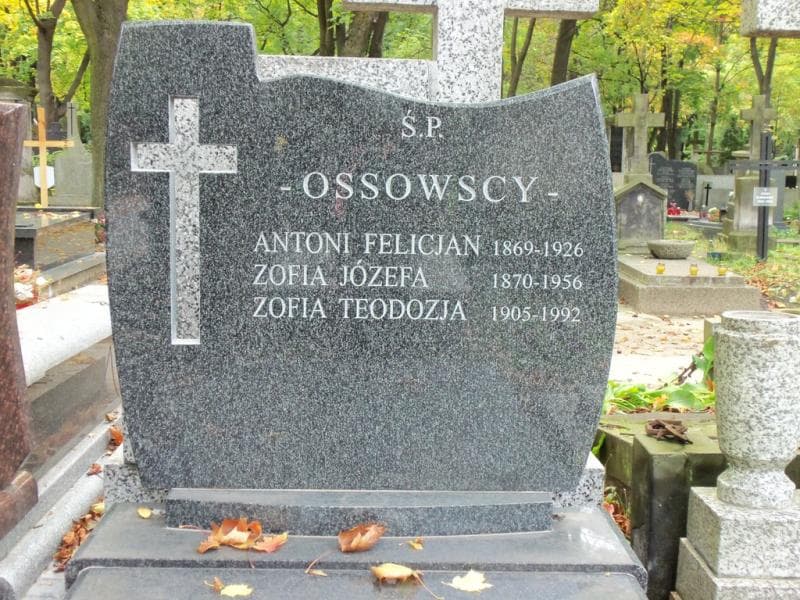 Zdjęcie grobu Mieczysław Ossowski (2)
