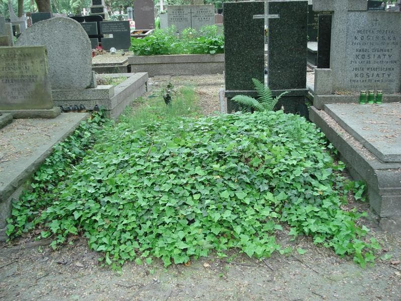 Zdjęcie grobu: Pole Grobowe