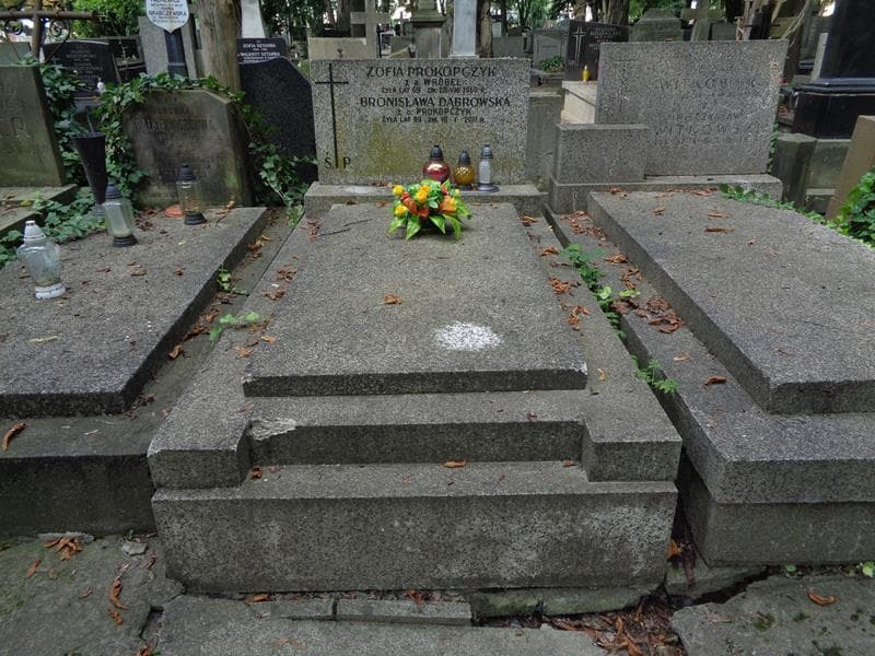 Zdjęcie grobu Stanisława Dąbrowska (1)