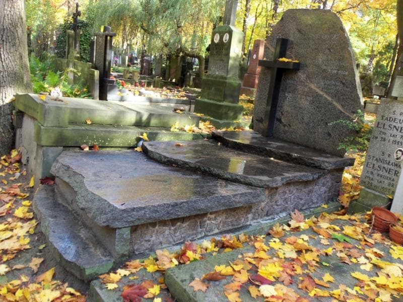 Zdjęcie grobu Wojciech Maria Chrościcki (1)
