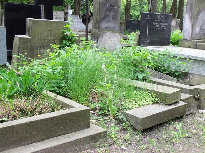 Zdjęcie grobu Franciszek Augustynek (1)