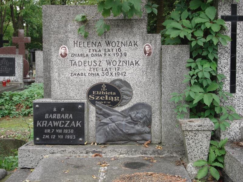 Zdjęcie grobu Tadeusz Woźniak (2)