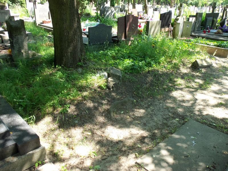 Zdjęcie grobu Pole Grobowe (1)