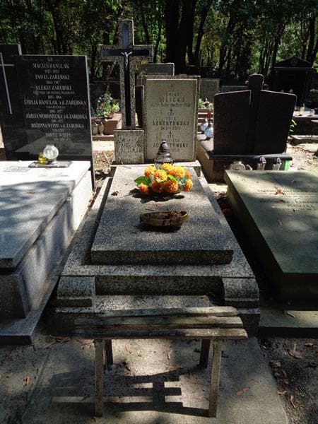 Zdjęcie grobu Wojciech Adwentowski (1)