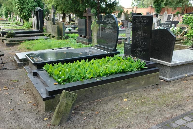 Zdjęcie grobu: Aleksander Klimowicz