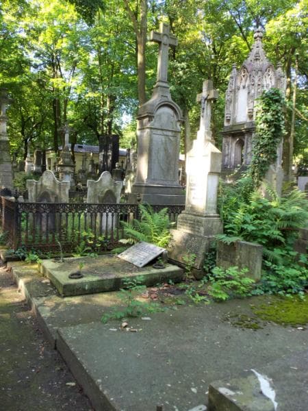 Zdjęcie grobu Zofia Boniecka (1)