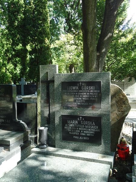 Zdjęcie grobu Ludwik Górski (2)