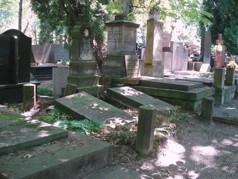 Zdjęcie grobu: Aniela Oknińska