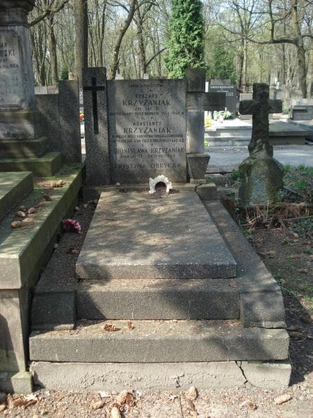 Zdjęcie grobu: Bronisława Krzyżaniak