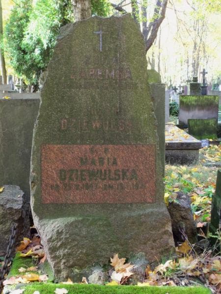 Zdjęcie grobu Maria Dziewulska (2)