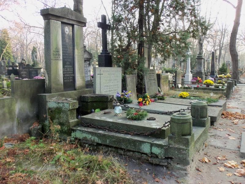 Zdjęcie grobu Wacław Delaciński (1)