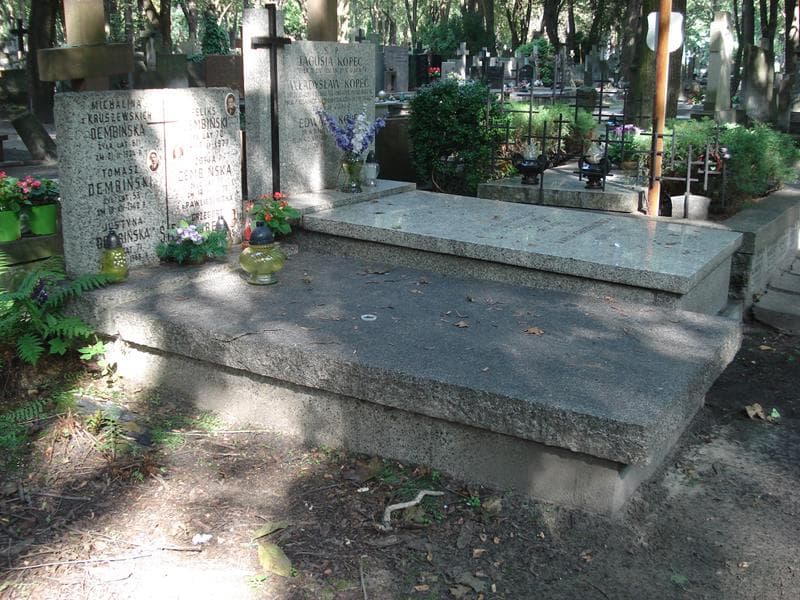 Zdjęcie grobu: Feliks Dembiński