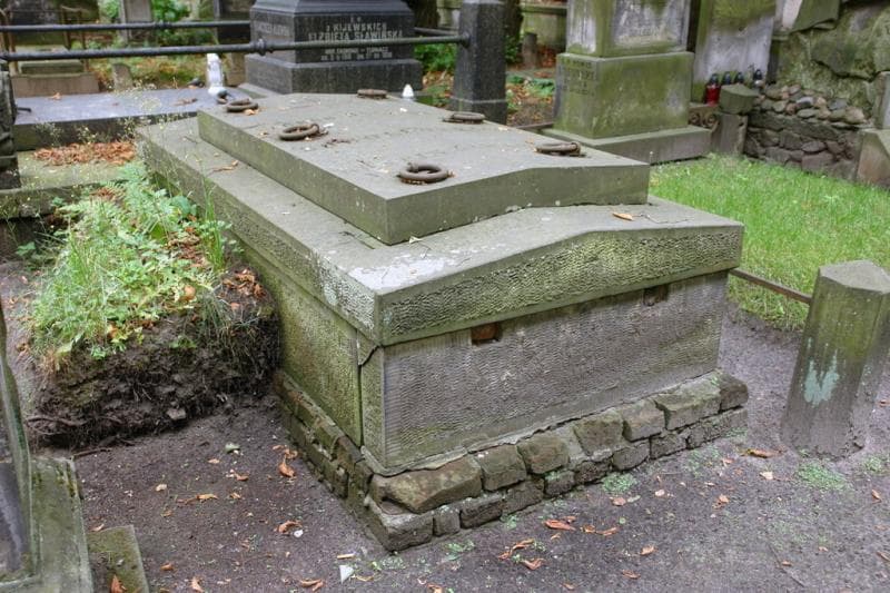 Zdjęcie grobu Rościszewscy (1)