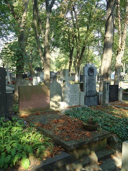 Zdjęcie grobu Tadeusz Buliński (1)