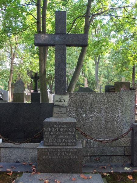 Zdjęcie grobu Stefan Peretjatkowicz (2)