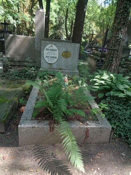 Zdjęcie grobu Józef Oleksiak (1)
