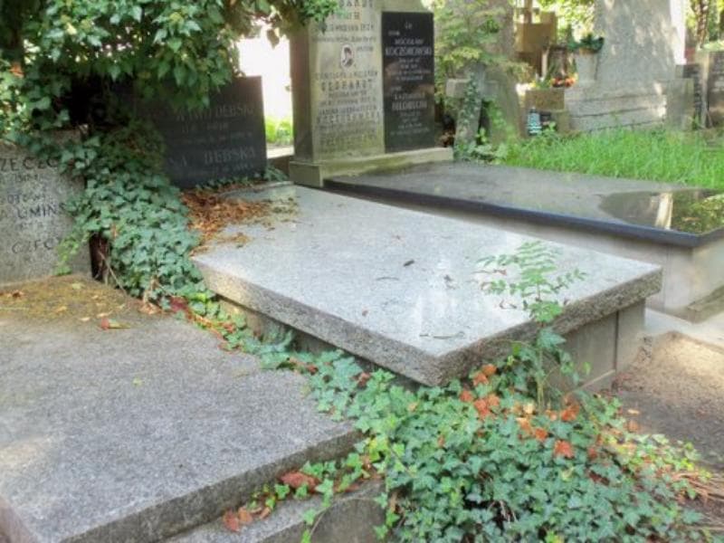 Zdjęcie grobu Janina Dębska (1)