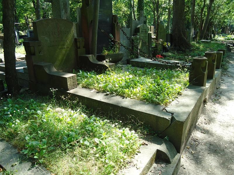 Zdjęcie grobu Karol Leicht (1)
