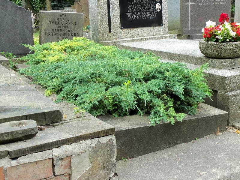Zdjęcie grobu Eleonora Hryniewiecka (1)