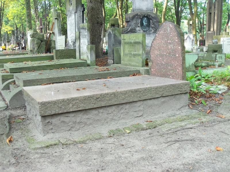 Zdjęcie grobu Halina Januszowa (1)