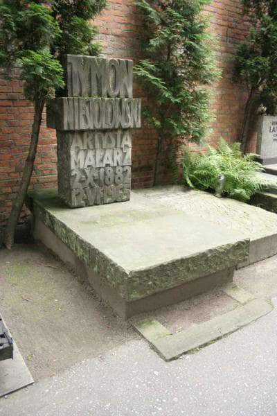Zdjęcie grobu Tymon Niesiołowski (3)