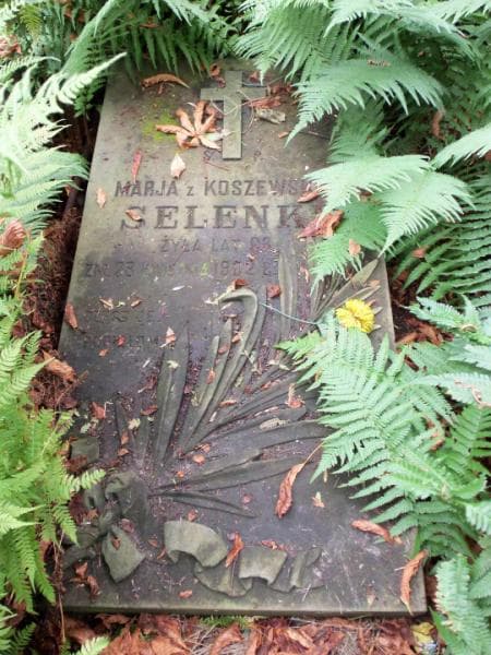 Zdjęcie grobu Marja Selenke (1)