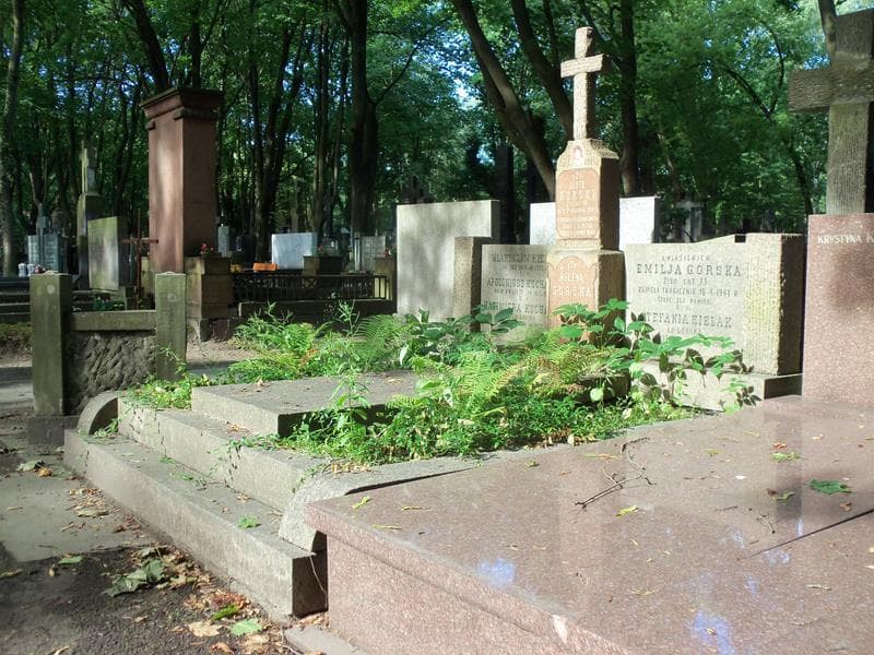 Zdjęcie grobu Emilja Górska (1)