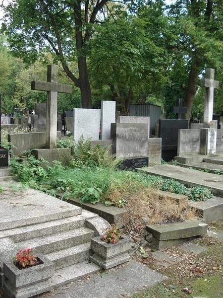 Zdjęcie grobu Józefa Dąbrowska (1)