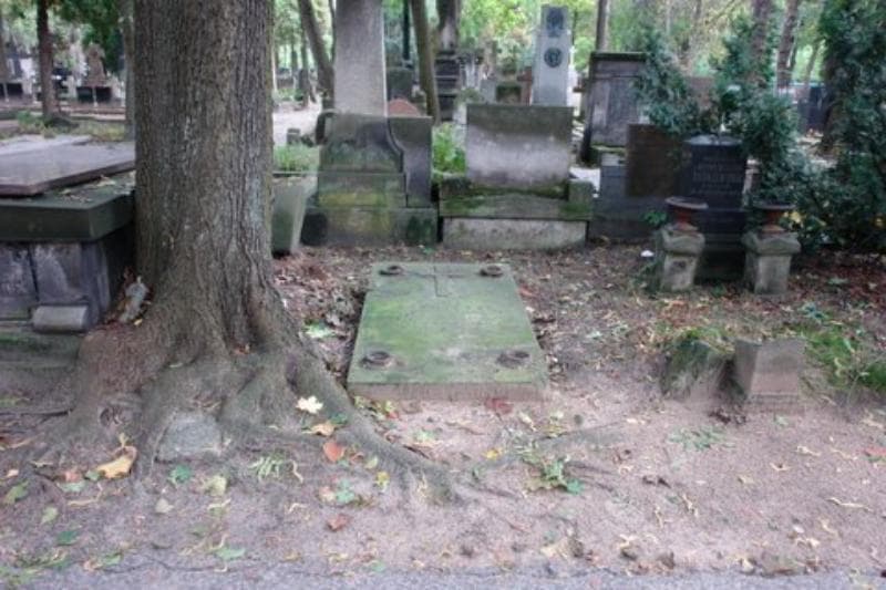Zdjęcie grobu: Tytus Słomiński