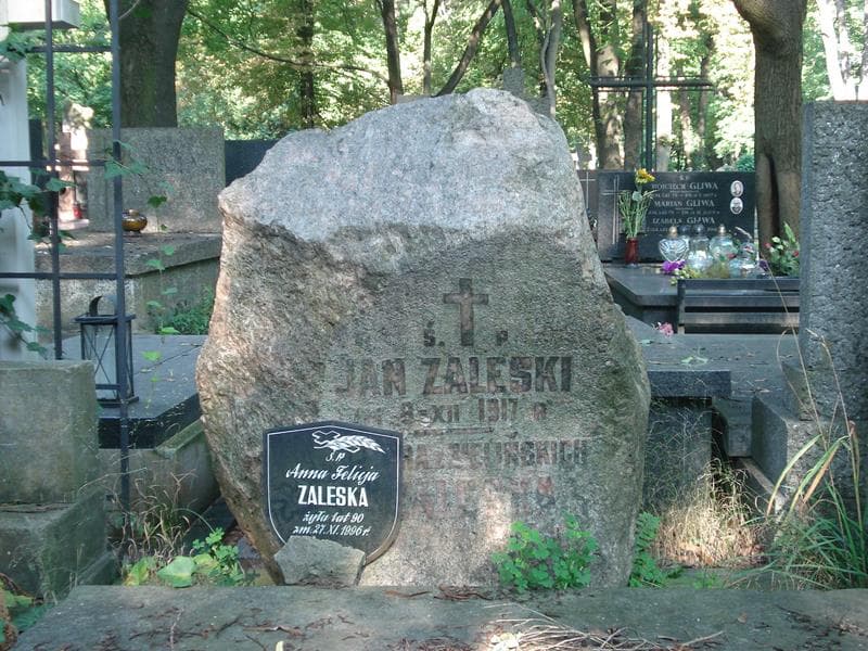 Zdjęcie grobu Antonina Przewor (1)