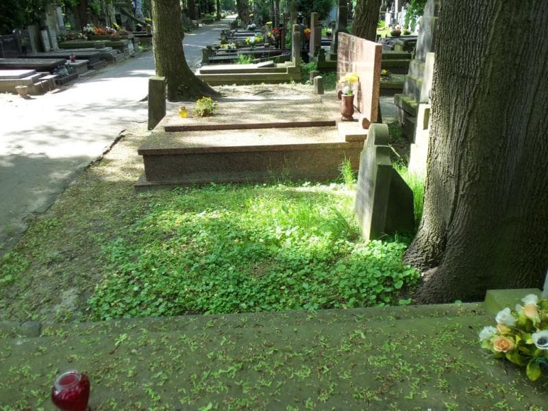 Zdjęcie grobu Julja Chromińska (2)