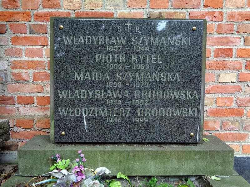 Zdjęcie grobu Władysława Brodowska (2)