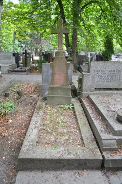 Zdjęcie grobu Mieczysław Habdank-Dunikowski (1)