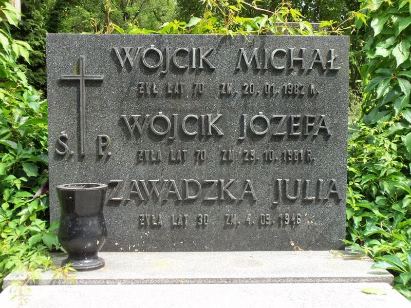 Zdjęcie grobu Henryk Czapnik (2)