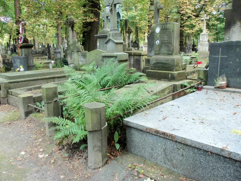 Zdjęcie grobu Magdalena Buszkowska (1)