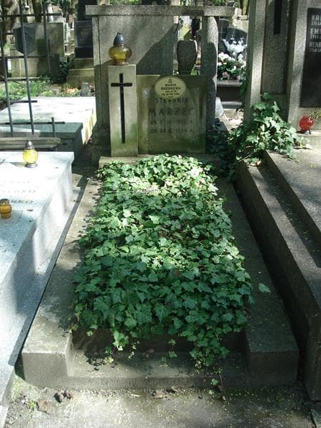 Zdjęcie grobu: Stefania Marzec