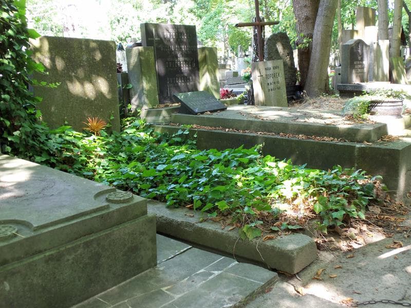 Zdjęcie grobu Zofia Niedziałkowska (1)