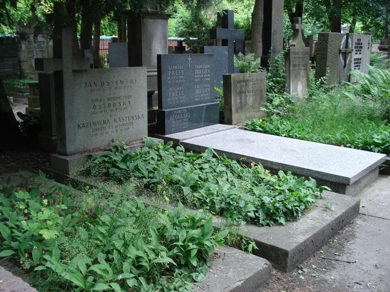 Zdjęcie grobu: Maria Ossowska